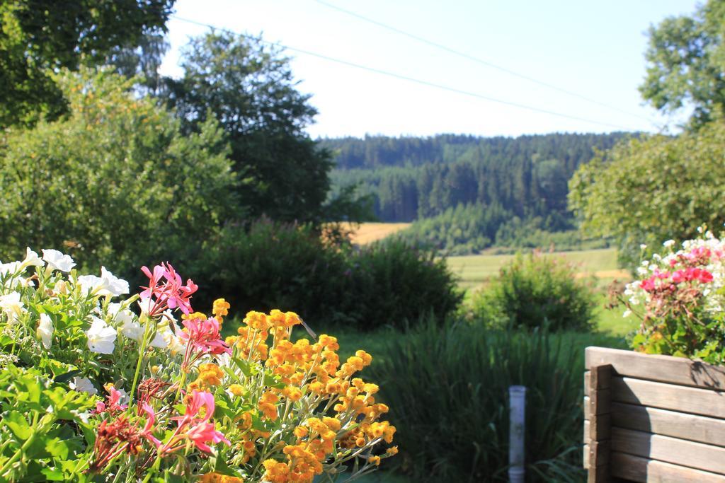 Landgasthof Haueis Marktleugast Exterior foto